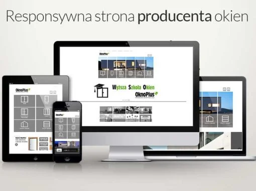 Nowoczesna strona internetowa dla producenta okien